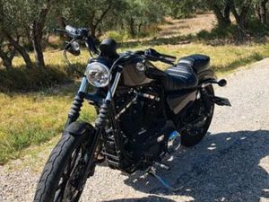 HARLEY DAVIDSON IRON 883