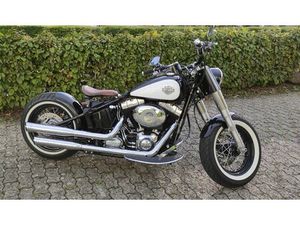 FLS SOFTAIL SLIM ABS
