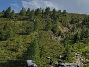 MAX XT 700 PLATINUM SATIN - MWST. AUSWEISSBAR