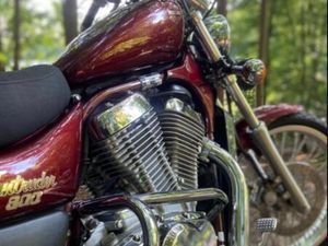 SUZUKI INTRUDER VS 800