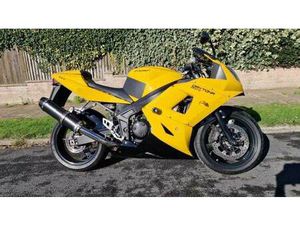 TRIUMPH, DAYTONA, 2004, 599 (CC)