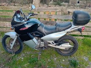 SUZUKI 650 FREEWIND