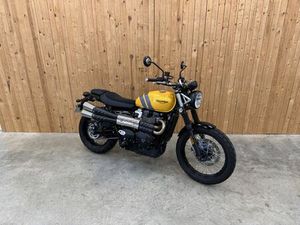 TRIUMPH SCRAMBLER 900 2023 900 CM3 | MOTO TRAIL | 1 600 KM | JAUNE | 26000 VALENCE