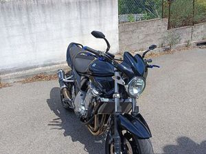 BANDIT 1250