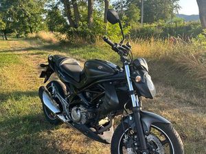SUZUKI GLADIUS 650