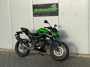 KAWASAKI Z 125 ABS GRAU ODER GRÜN INKL. STARTERBONUS