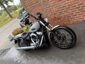 ② STREET BOB 117CI 2025