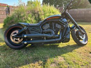 HARLEY DAVIDSON NIGHT ROD SPECIAL, 2009, 5HD