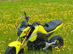 HONDA MSX 125 GROM POCKETBIKE | CAMPER | MOPED
