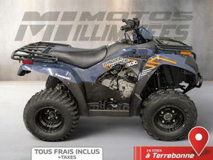 2024 KAWASAKI BRUTE FORCE 300