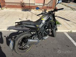 BENELLI LEONCINO 250 - 2024