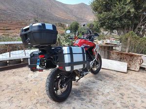 TRIUMPH - TIGER 900 GT PRO