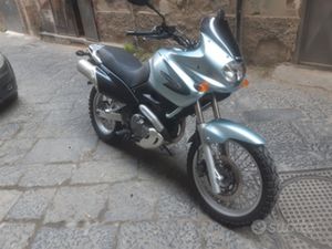 SUZUKI FREEWIND 650 D&APOS;EPOCA