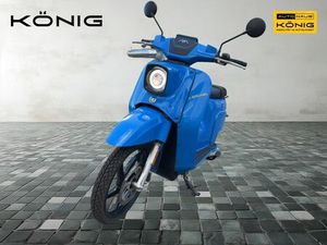 E-SCHWALBE E SCHWALBE 45 KM/H 2 TRAGBARE LITHIUM-AKKUS