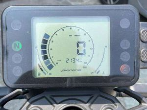 BENELLI LEONCINO GRIGIO