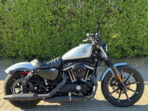 HARLEY-DAVIDSON SPORTSTER XL 883N IRON