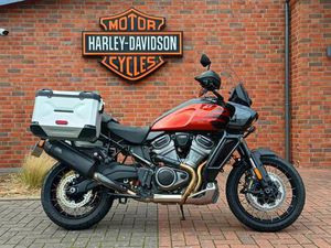 HARLEY-DAVIDSON PANAMERICA SPECIAL...2025!!!