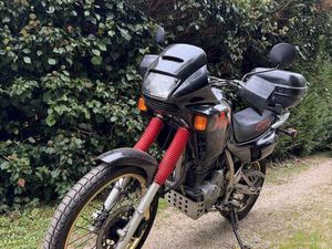 NX 650 DOMINATOR (A2)