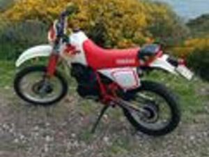 YAMAHA TT 600 - 1991