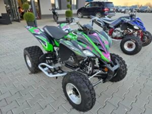 YAMAHA RAPTOR 350 CC, SPECIAL EDITION, 2008Г.