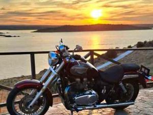 TRIUMPH - BONNEVILLE AMERICA 790