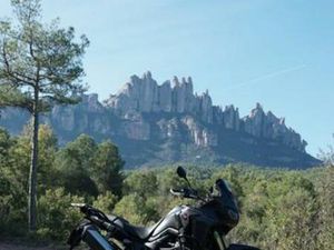 HONDA - CRF 1000 AFRICA TWIN