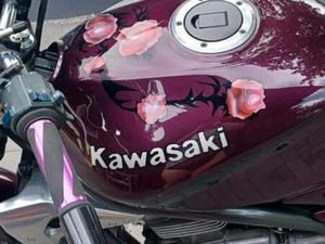 KAWASAKI ER-5
