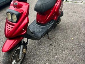 ❗️PEGASUS SKY 25 , 25‘ER PAPIERE , BASTLER/SCHRAUBER❗️