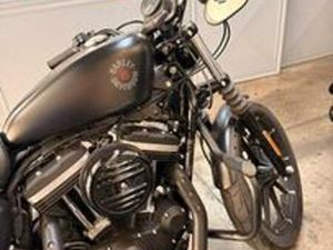HARLEY DAVIDSON 883 IRON XL