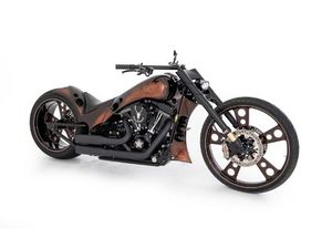 FLSS SOFTAIL SLIM S110 ABS
