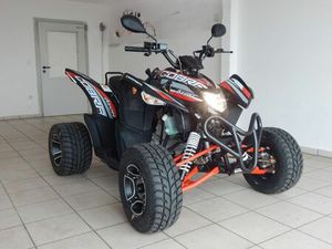 AEON COBRA 424 SM EFI