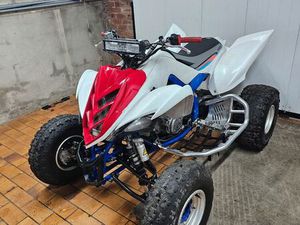 700 RAPTOR HOMOLOGUE