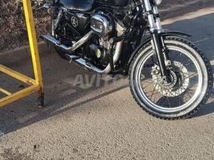 HARLEY DAVIDSON XL 2