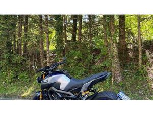 VENDO YAMAHA MT-09 SP (2018 - 20) USATA A GENOVA (CODICE 9877147) - MOTO.IT