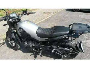 BENELLI LEONCINO GRIGIO