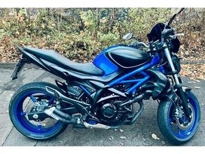 SUZUKI GLADIUS SFV650