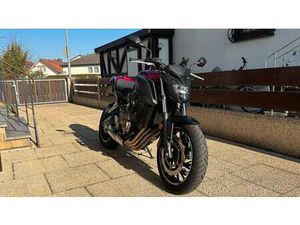 HONDA CB650F - A2 - TOP GEPFLEGT