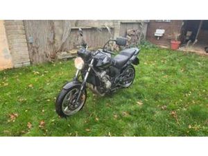 HONDA CBF600NA — MOTOREN | HONDA — MARKTPLAATS