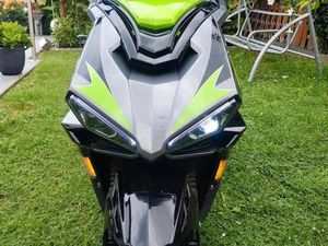 ROLLER GT UNION STRICKER 50CM.