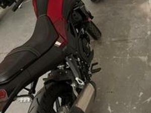 BENELLI LEONCINO 250