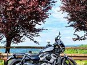 HARLEY-DAVIDSON NIGHTSTER - 2023