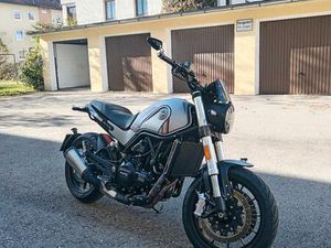 BENELLI LEONCINO 500 TAUSCH MÖGLICH