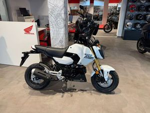 HONDA MSX 125 GROM 2025 WHITE *TAGESZULASSUNG 08-25*