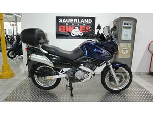 SUZUKI XF 650 FREEWIND