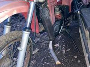 CAGIVA ALETTA ROSSA 1983