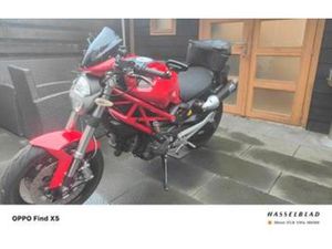 DUCATI MONSTER 696 - 2008 - FULL OPTIONS — MOTOREN | DUCATI — MARKTPLAATS