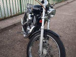 HARLEY DAVIDSON - SPORTSTER 883C CUSTOM