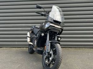 HARLEY-DAVIDSON ADVENTURE PAN AMERICA 1250 2021 1250 CM3 | MOTO TRAIL | 4 998 KM | VERT | 14123 IFS