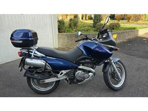 SUZUKI 650 FREEWIND