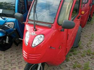 ELEKTROFROSCH TRIKE GEBRAUCHT